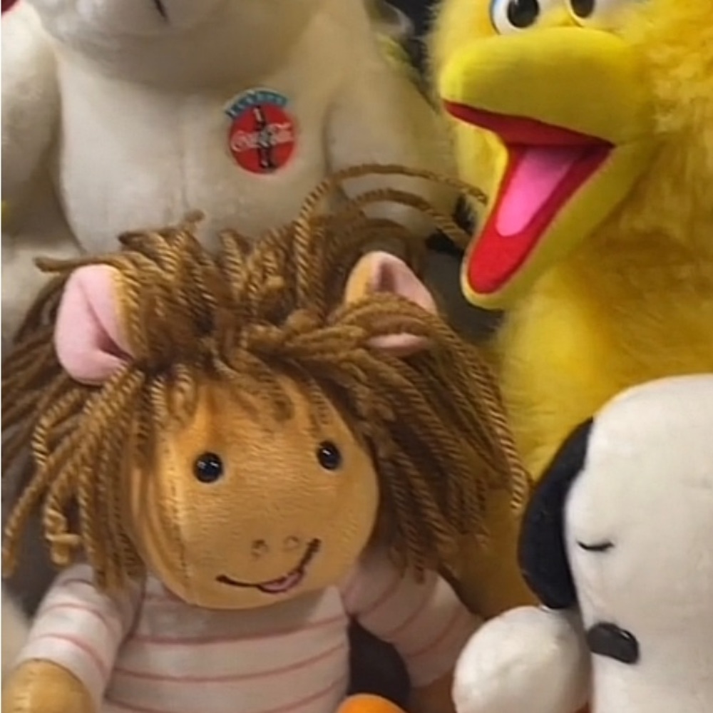 Mystery Stuffed Animal(s) box
